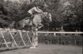 Cavalry units at the hippodrome in 1949