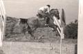 Cavalry units at the hippodrome in 1949