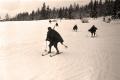 Обука брдско-планинских јединица 1950. године