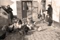 Војници у посети задрузи у селу Јабука 1950.