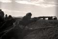 Pre-military training of teenagers and a combatant union, exercise “battalion in attack”, Belgrade 1951