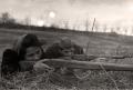 Pre-military training of teenagers and a combatant union, exercise “battalion in attack”, Belgrade 1951