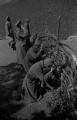 Пешадијска јединица на маршу 1951.
