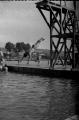 На купалишту Партизана: купачи, скокови са купалишта на Сави (1951. године)