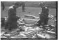 Гађање у артиљеријској јединици 1952. године