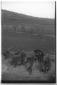 Гађање у артиљеријској јединици 1952. године