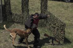 Dog handlers and working dogs in explosives detection training course
