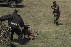 Dog handlers and working dogs in explosives detection training course
