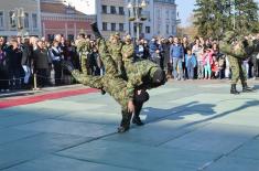 Marking the Army Day and the Infantry Day