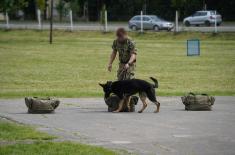 Minister Gašić visits Dog Training Centre in Niš