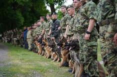 Minister Gašić visits Dog Training Centre in Niš