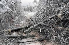 Serbian Armed Forces help clear roads after heavy snowfall