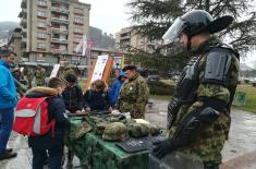 Ceremonial March-Past of Military Bands and Arms Presentation in the Towns of Serbia