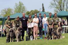 Military working dogs win awards