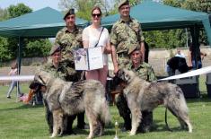 Признања за службене војне псе