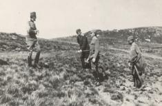 Field Marshal Stepa Stepanović