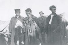 Плава гробница