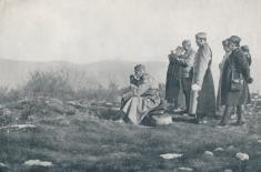 Battle of Kolubara