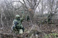 Taktička obuka izviđačkih jedinica Vojske Srbije