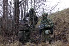 Reconnaissance units undergo tactical training