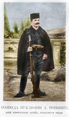 Vojin Popović