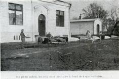 Typhus - Serbia country of death