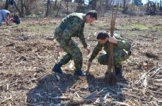 Акција „Шума за страдале у НАТО агресији 1999“