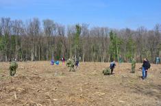 “Forest for victims in NATO aggression 1999” campaign