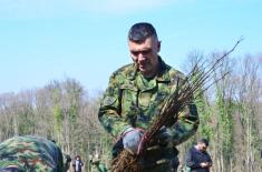 Акција „Шума за страдале у НАТО агресији 1999“