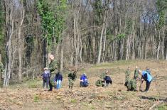 “Forest for victims in NATO aggression 1999” campaign