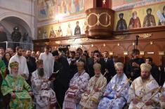Министар Вулин на устоличењу епископа далматинског