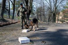 Komandno-štabna vežba bataljona vojne policije