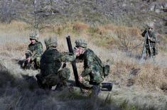 Training Command units conduct joint drills