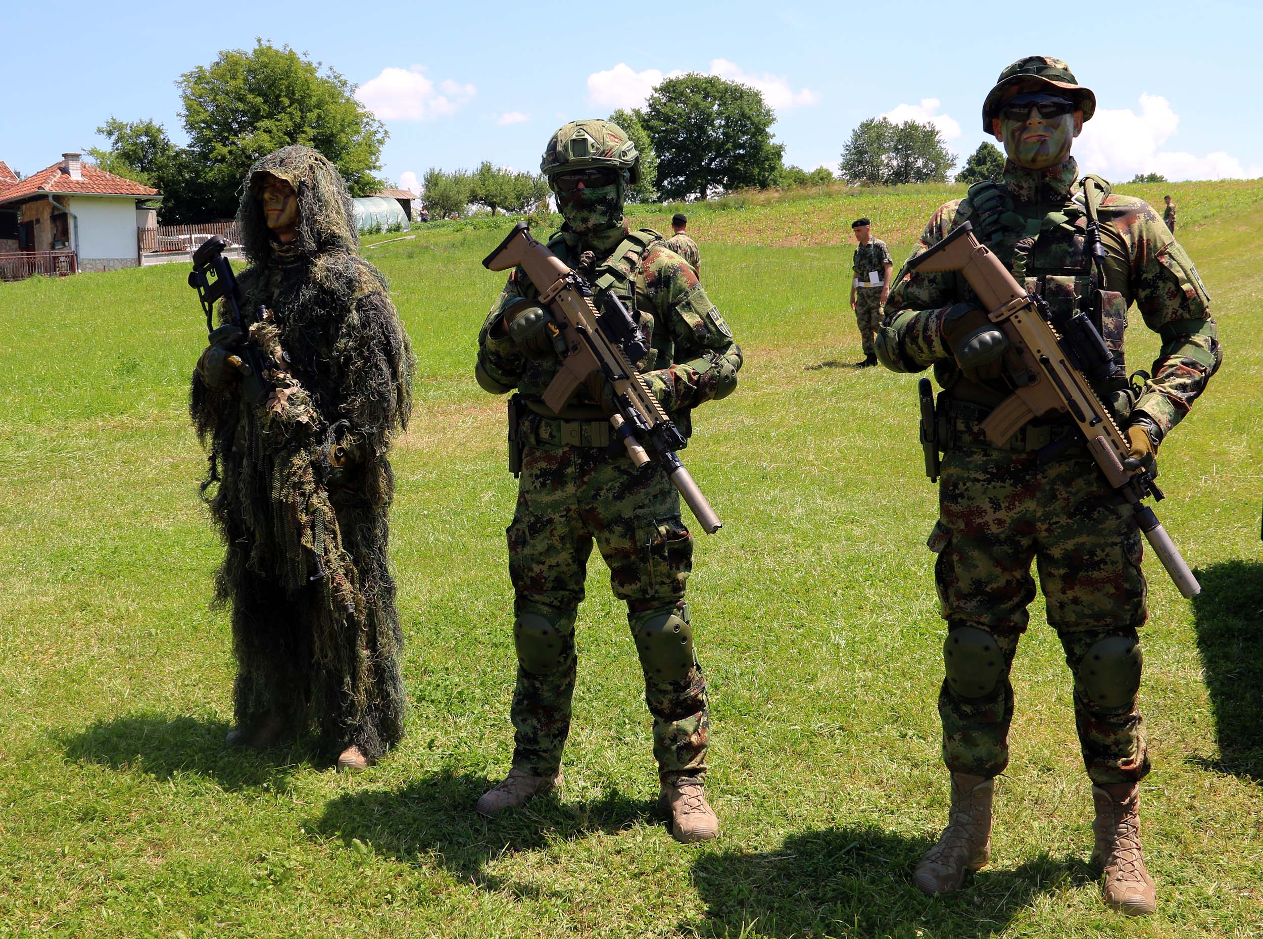 The President of the Republic and the Supreme Commander of the Serbian Arme...