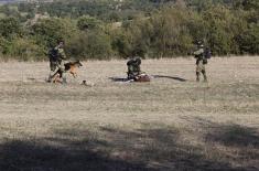 Serbian Armed Forces units undergo pre-deployment evaluation
